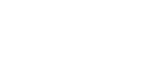 Logotipo Diniz Botrel versão branca