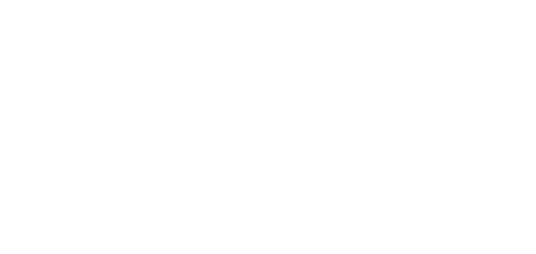 Logotipo Diniz Botrel versão branca